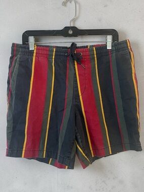 Pacsun men’s striped drawstring casual shorts size Medium